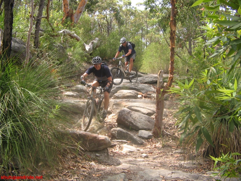 20061210-Lindfield 036 